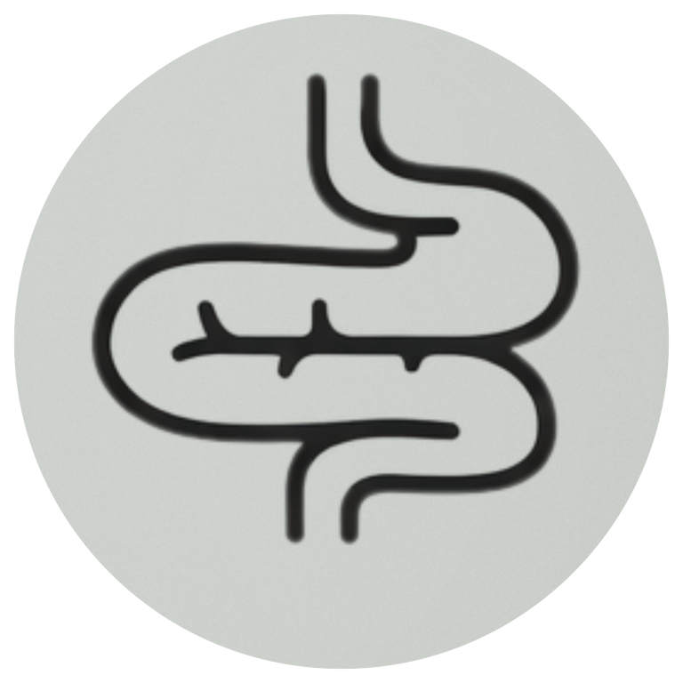 Darstellung des menschlichen Verdauungssystems in einfacher, grafischer Form.